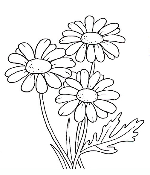 daisy flowers coloring pages - photo #2