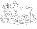 coloring_pages/animals_farm/lamb_2.jpg