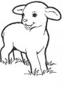 coloring_pages/animals_farm/lamb_4.jpg