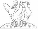 coloring_pages/animals_farm/three_geese.jpg