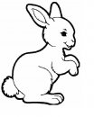 coloring_pages/animals_farm/white_rabbit.jpg