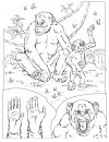 coloring_pages/animals_of_the_savanna/apes.JPG