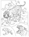 coloring_pages/animals_of_the_savanna/tiger.JPG