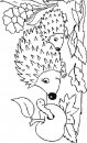 coloring_pages/animals_of_the_wood/Hedgehog_11.jpg
