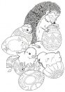 coloring_pages/animals_of_the_wood/Hedgehog_2.jpg