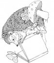 coloring_pages/animals_of_the_wood/Hedgehog_3.jpg