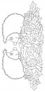 coloring_pages/animals_of_the_wood/Hedgehog_7.jpg
