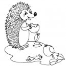 coloring_pages/animals_of_the_wood/Hedgehog_9.jpg