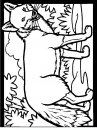 coloring_pages/animals_of_the_wood/color-fox.JPG