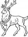 coloring_pages/animals_of_the_wood/deer_2.JPG