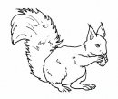 coloring_pages/animals_of_the_wood/squirrel_2.JPG