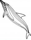 coloring_pages/aquatic_animals/whale_9.JPG