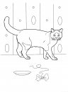 coloring_pages/cats/cat_26.jpg