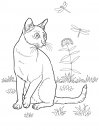 coloring_pages/cats/cat_27.jpg