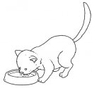 coloring_pages/cats/cat_45.jpg