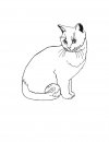 coloring_pages/cats/cat_48.jpg