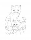 coloring_pages/cats/cats_2.jpg