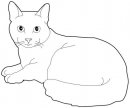 coloring_pages/cats/russian_cat.jpg