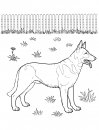 coloring_pages/dog/dog_coloring_pages_20.jpg