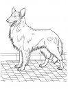 coloring_pages/dog/dog_coloring_pages_22.jpg
