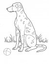 coloring_pages/dog/dog_coloring_pages_27.jpg
