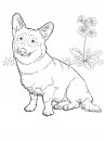 coloring_pages/dog/dog_coloring_pages_28.jpg