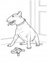 coloring_pages/dog/dog_coloring_pages_29.jpg