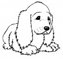 coloring_pages/dog/dog_coloring_pages_42.jpg
