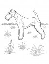 coloring_pages/dog/dog_coloring_pages_5.jpg