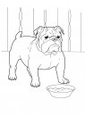 coloring_pages/dog/dog_coloring_pages_6.jpg