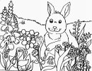 coloring_pages/easter/easter_04.gif