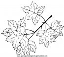 coloring_pages/fall/fall_autumn_11.JPG