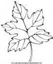 coloring_pages/fall/fall_autumn_12.JPG