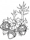 tree Adults and teens coloring pages