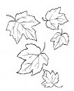 coloring_pages/fall/fall_autumn_48.jpg