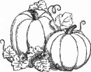coloring_pages/fall/pumpkins.gif