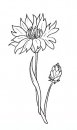 coloring_pages/flowers/flowers_08.JPG
