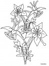 coloring_pages/flowers/flowers_13.JPG