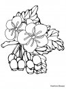 coloring_pages/flowers/flowers_15.JPG