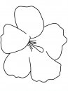 coloring_pages/flowers/flowers_17.JPG