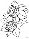 coloring_pages/flowers/flowers_22.JPG