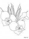 coloring_pages/flowers/flowers_27.JPG