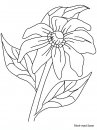 coloring_pages/flowers/flowers_28.JPG