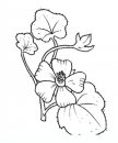 coloring_pages/flowers/flowers_32.JPG