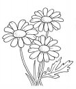 coloring_pages/flowers/flowers_33.JPG