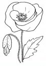 coloring_pages/flowers/flowers_40.JPG