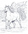 coloring_pages/horses/horses_10.jpg