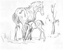 coloring_pages/horses/horses_11.jpg