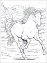 coloring_pages/horses/horses_2.jpg