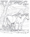 coloring_pages/horses/horses_4.jpg